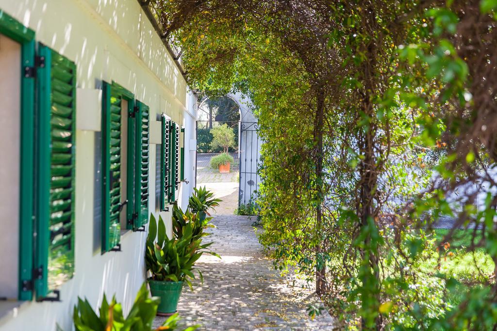 Villa Carenza Monopoli Ngoại thất bức ảnh